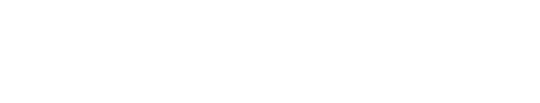 News & Blog
